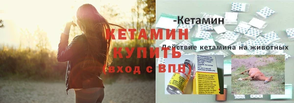 PSILOCYBIN Богородск