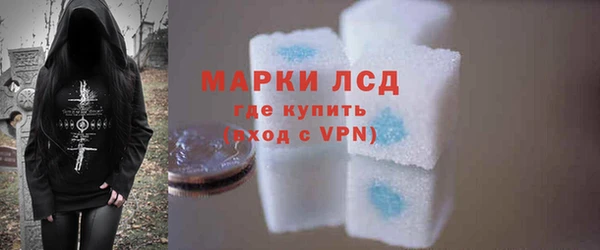 шишки Верхний Тагил