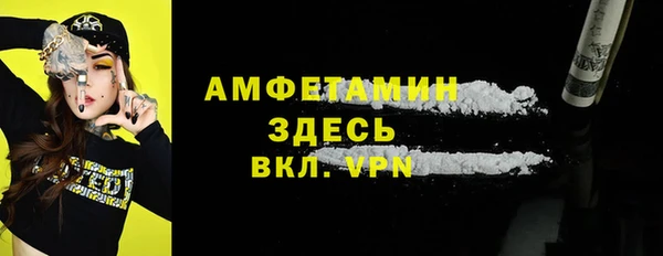 шишки Верхний Тагил