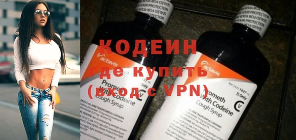 шишки Верхний Тагил